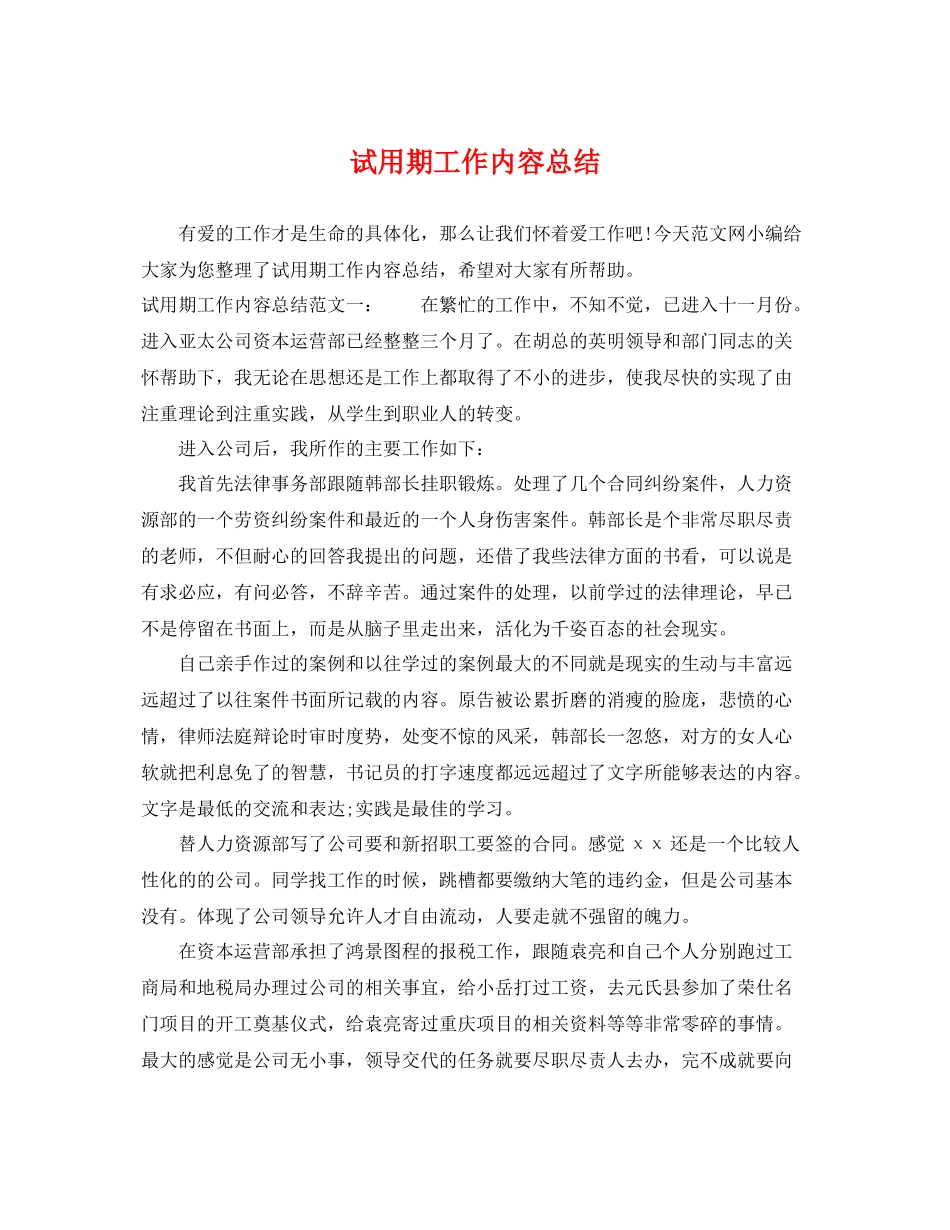 试用期工作内容总结 _第1页