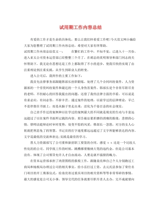 试用期工作内容总结 