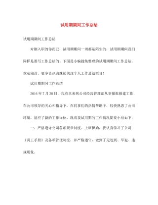 试用期期间工作总结 