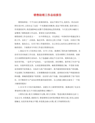 销售助理工作总结报告 