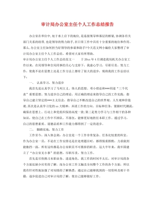 审计局办公室主任个人工作总结报告 