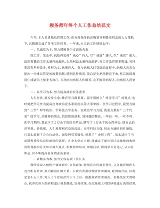 税务师年终个人工作总结范文 