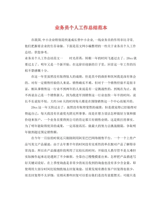 业务员个人工作总结范本 