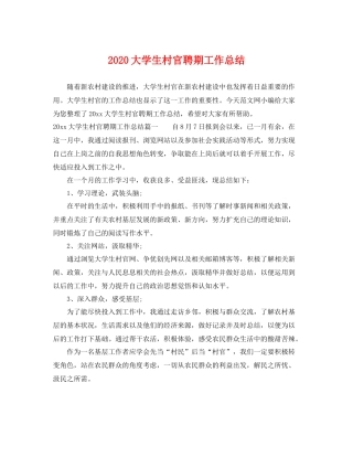 大学生村官聘期工作总结 