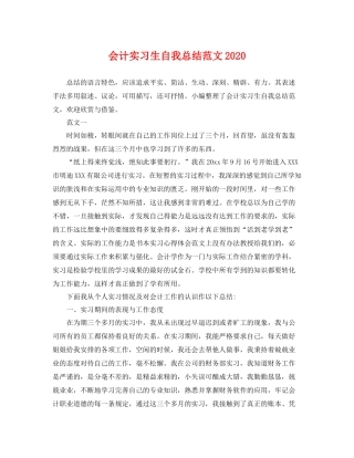 会计实习生自我总结范文2020 