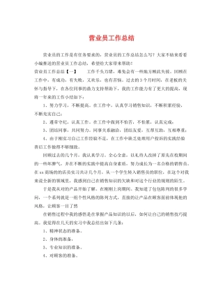 营业员工作总结 