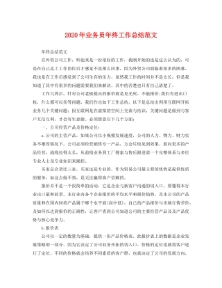 2020年业务员年终工作总结范文 