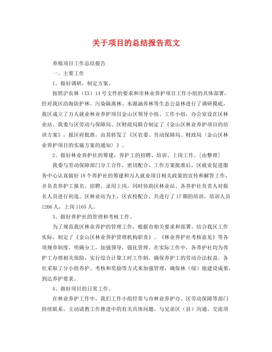 关于项目的总结报告范文 _第1页