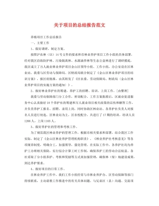 关于项目的总结报告范文 
