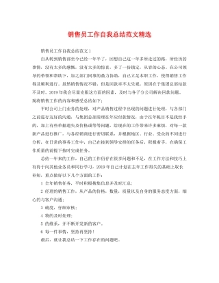 销售员工作自我总结范文精选 