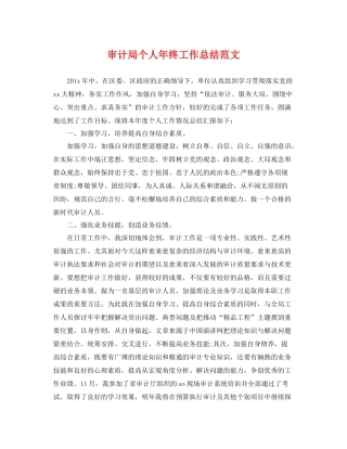 审计局个人年终工作总结范文 