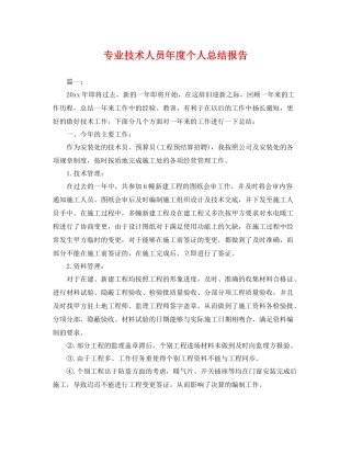 专业技术人员年度个人总结报告 