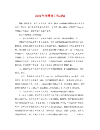 2020年度稽查工作总结 