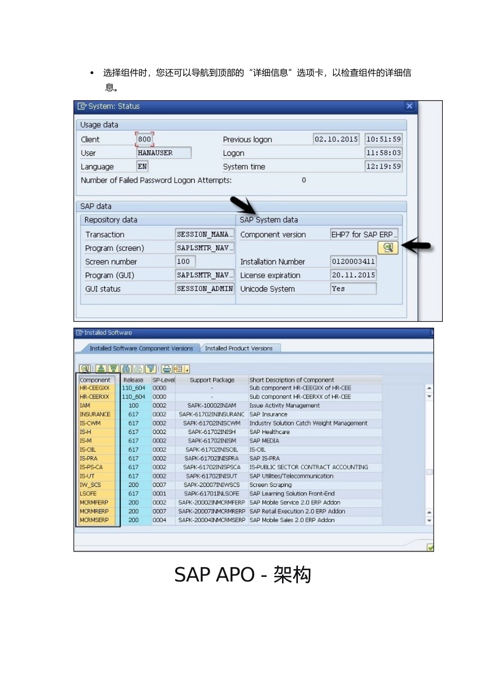 SAPAPO-快速指南_第3页