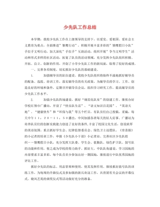 少先队工作总结2 