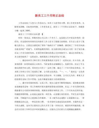 新员工三个月转正总结 