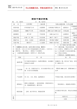 合肥市房地产项目个案分析表