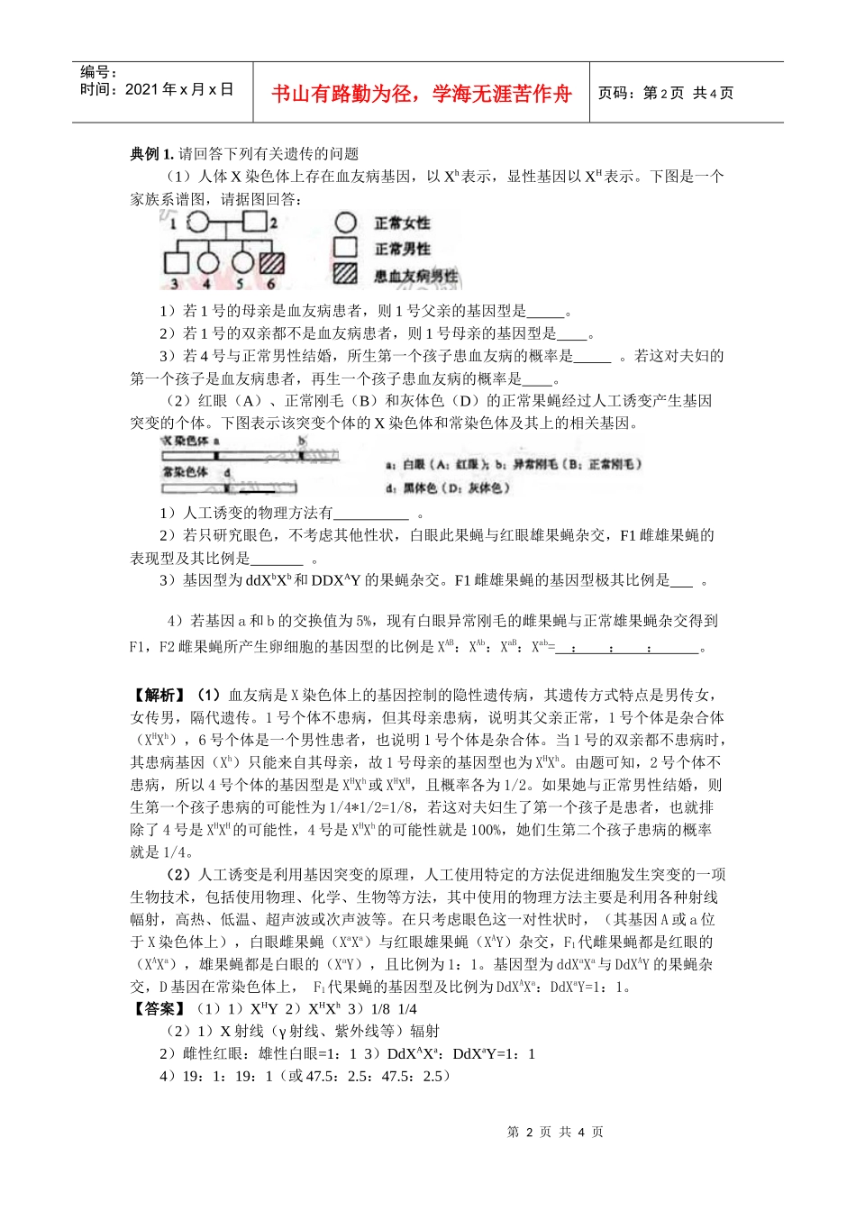 山东惠民二中生物：“五步法”快速判断遗传系谱图doc-桐_第2页