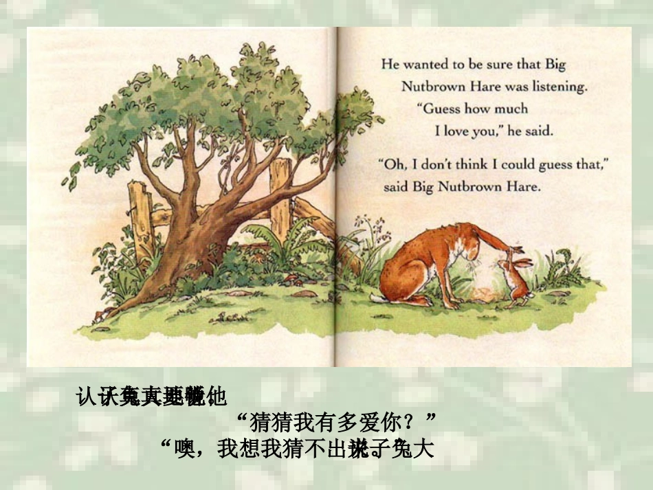 猜猜我有多爱你_第3页