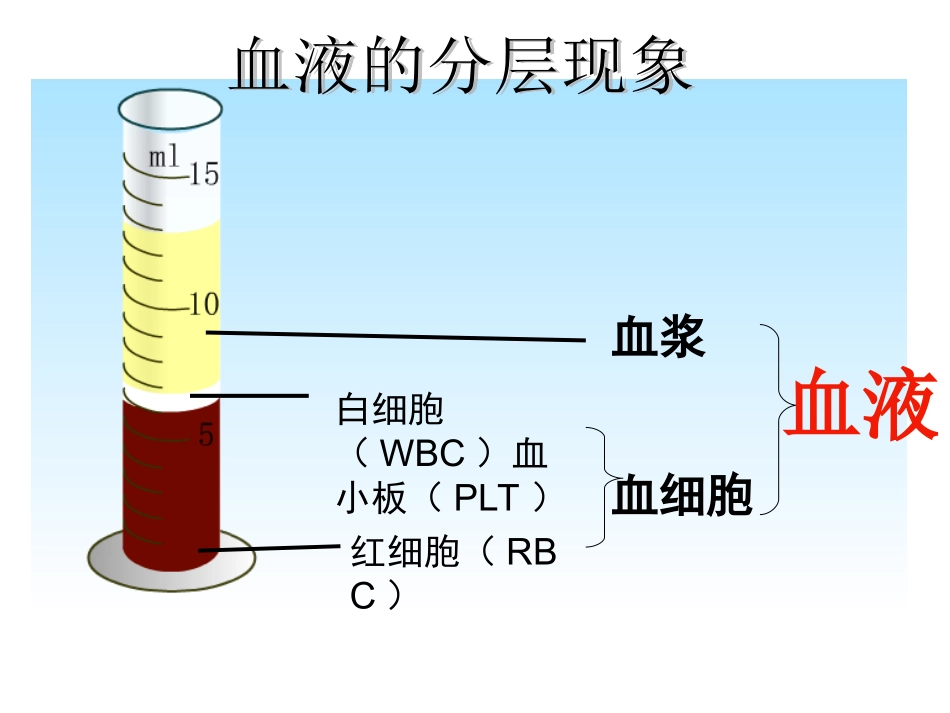 流动的组织-血液王百灵_第3页