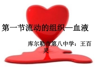 流动的组织-血液王百灵