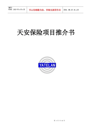 天安保险项目推介书