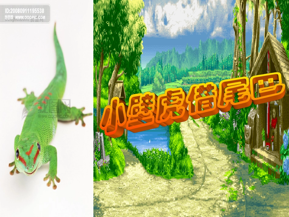 小壁虎借尾巴课件 (3)_第3页