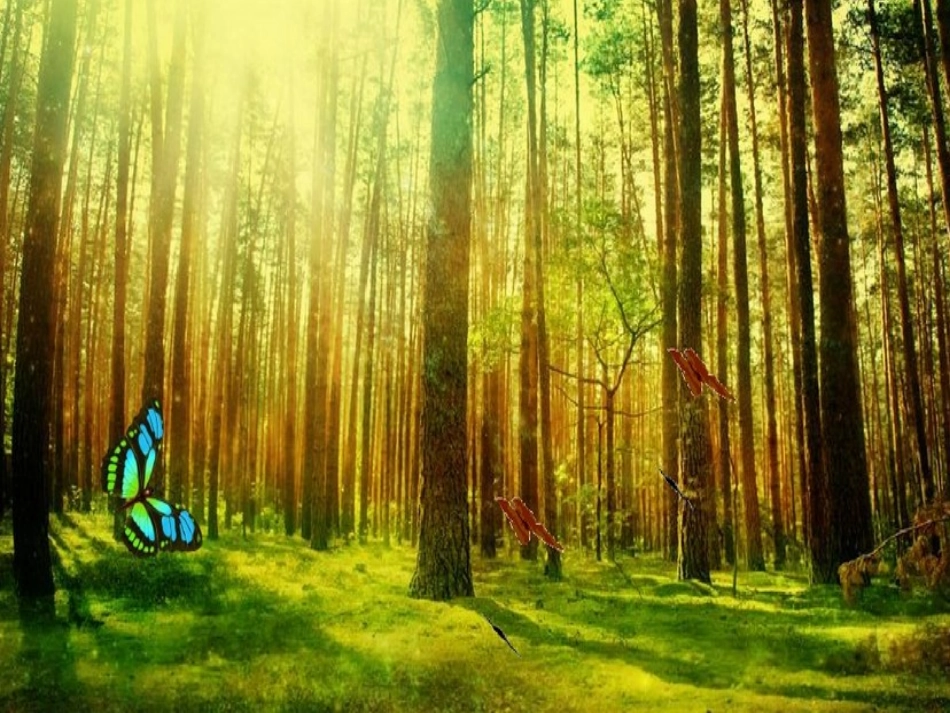 快乐小屋课件_第2页