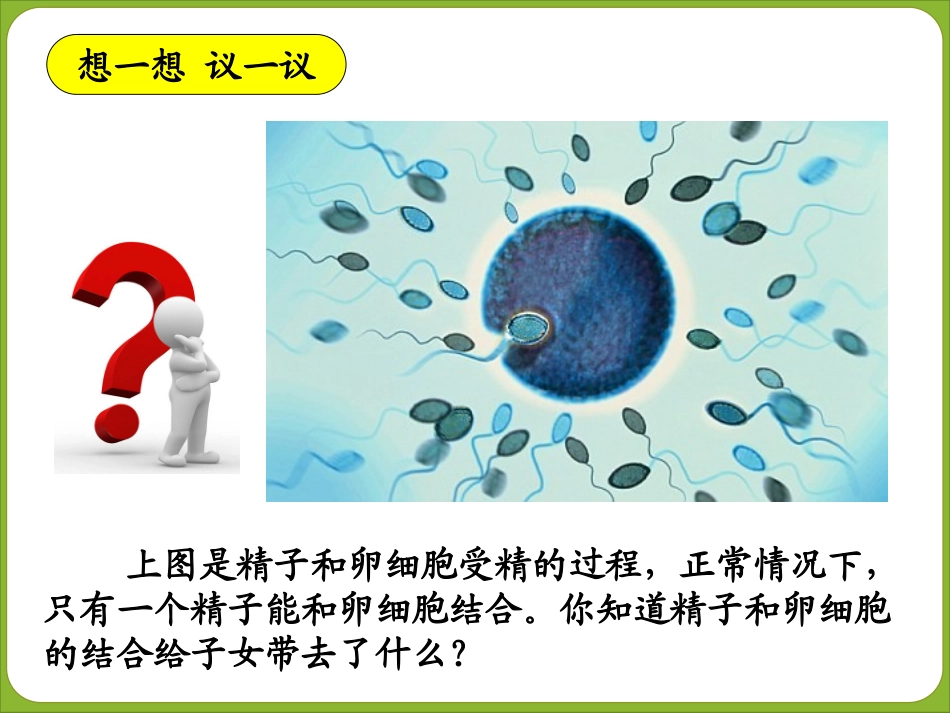 第七单元第二章第二节基因在亲子代间的传递（共41张PPT） (2)_第2页