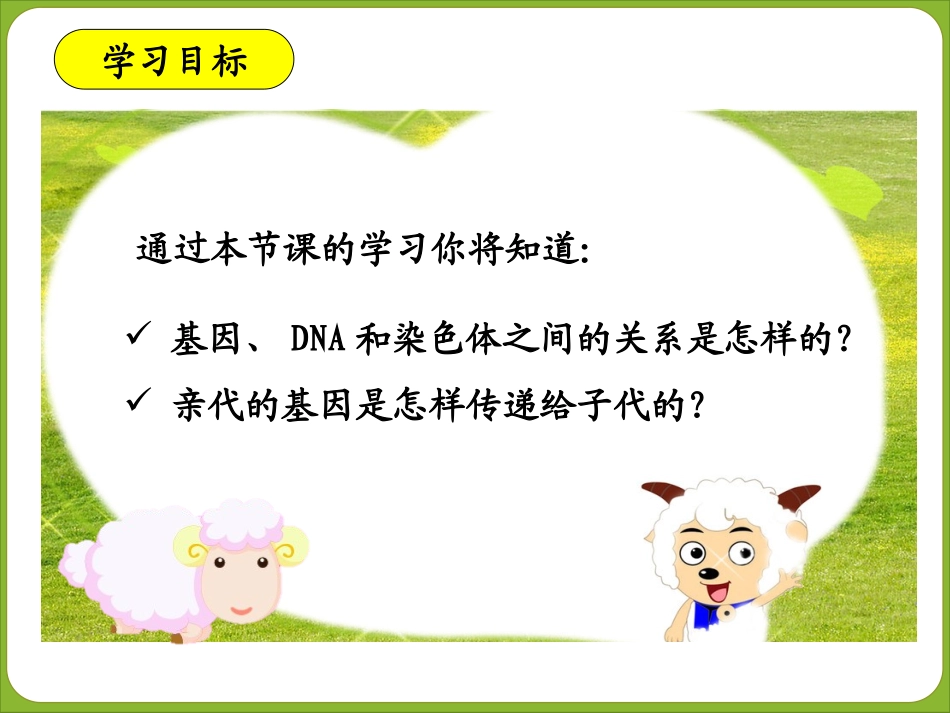 第七单元第二章第二节基因在亲子代间的传递（共41张PPT） (2)_第3页