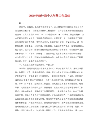 2020年统计局个人年终工作总结 