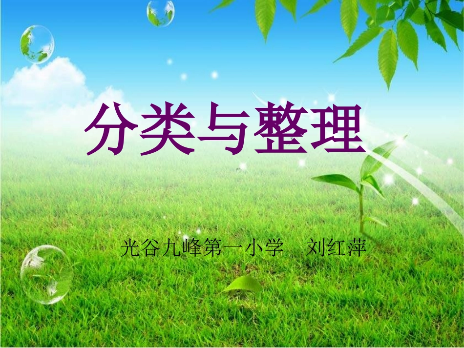 《分类与整理》_第1页