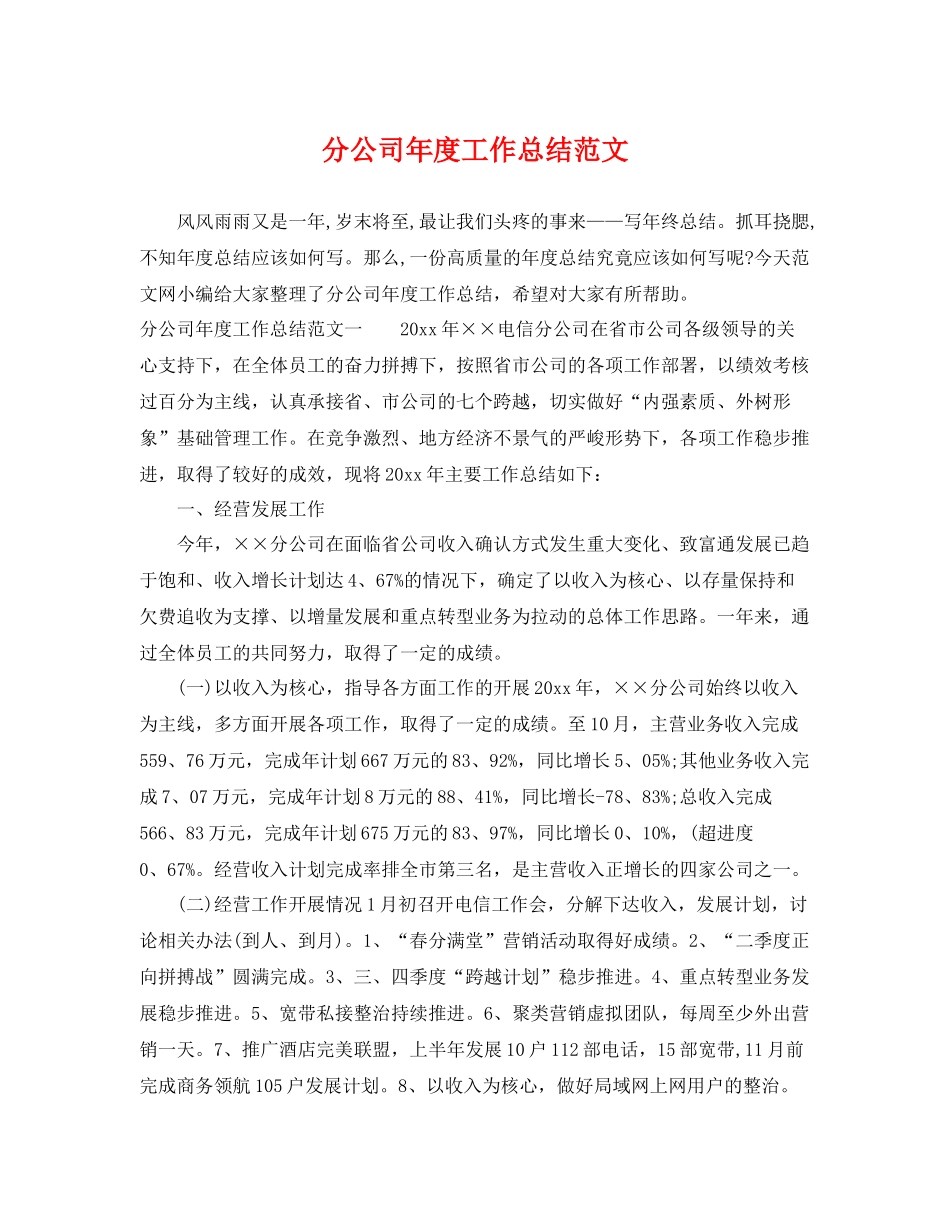 分公司年度工作总结范文 _第1页