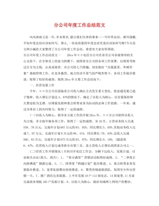 分公司年度工作总结范文 