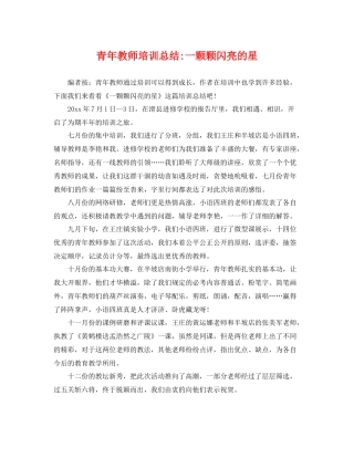 青年教师培训总结-一颗颗闪亮的星 