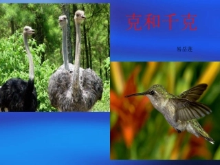 克和千克的认识(公开课用)