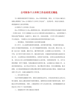 公司财务个人年终工作总结范文精选 