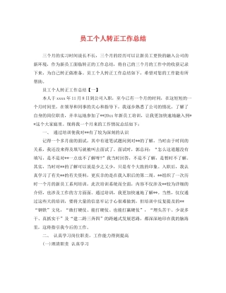 员工个人转正工作总结 