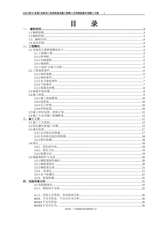 G223桩基安全专项方案(1)