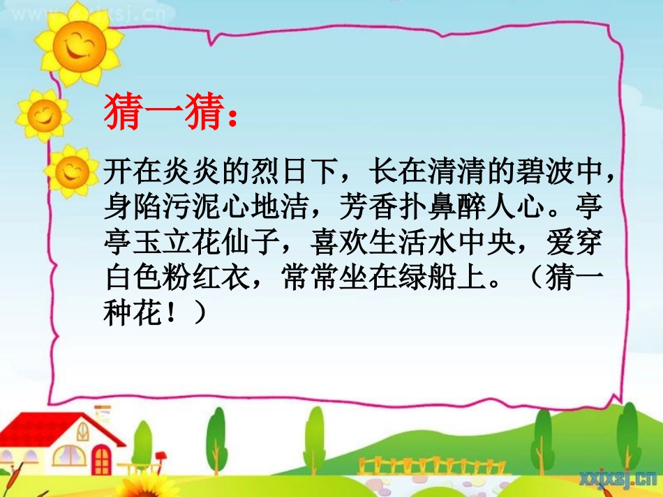 荷花PPT课件_第1页