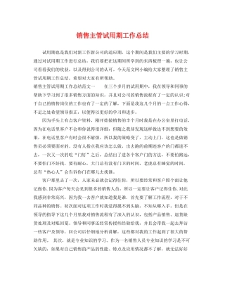 销售主管试用期工作总结 