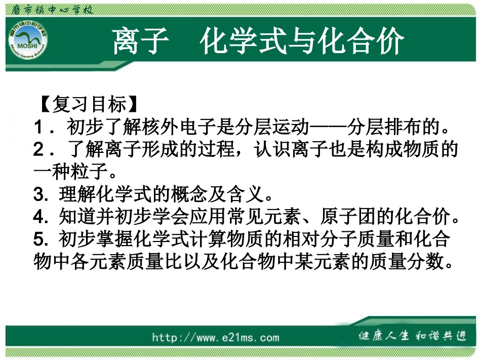 离子化学价和化合价_第1页