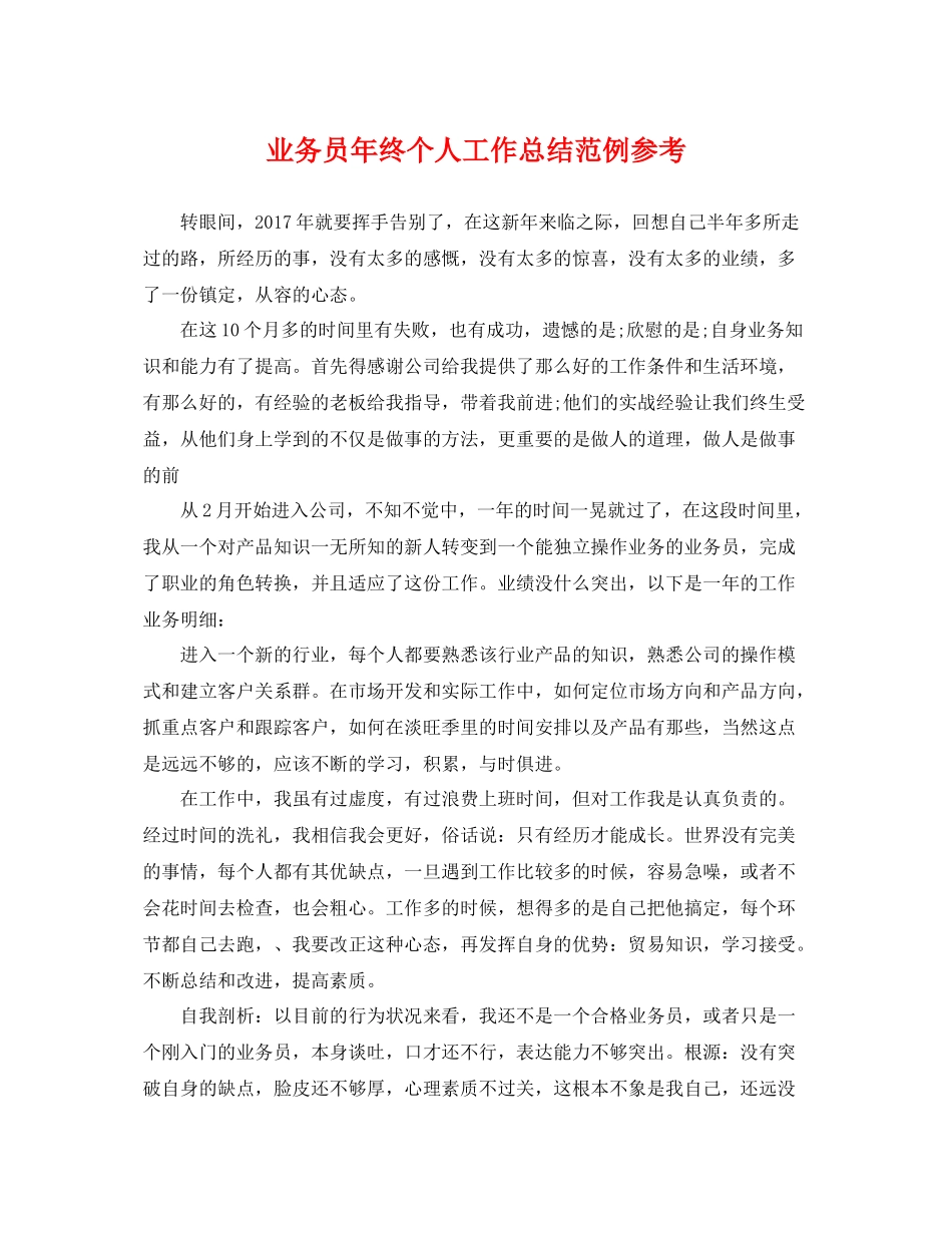 业务员年终个人工作总结范例参考 _第1页