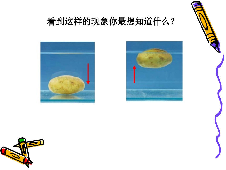 马铃薯沉浮的原因_第2页