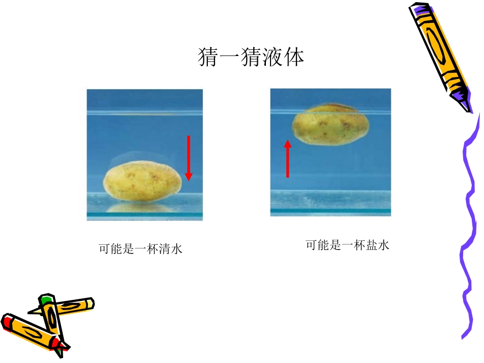 马铃薯沉浮的原因_第3页