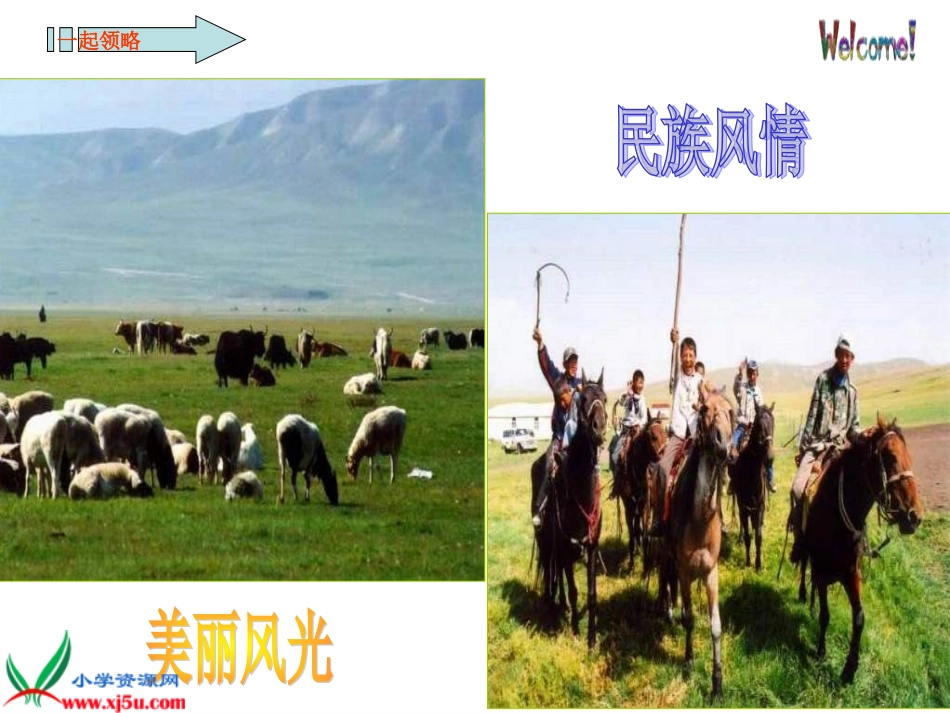 草原第二课时_第2页