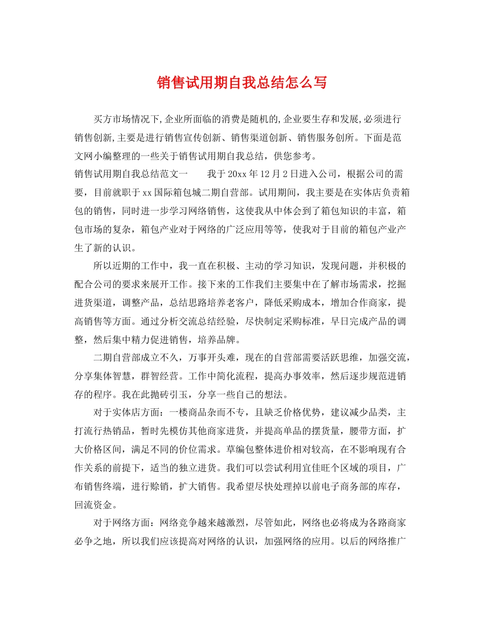 销售试用期自我总结怎么写 _第1页