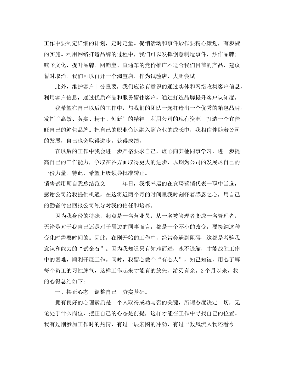 销售试用期自我总结怎么写 _第2页