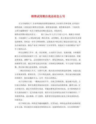 销售试用期自我总结怎么写 