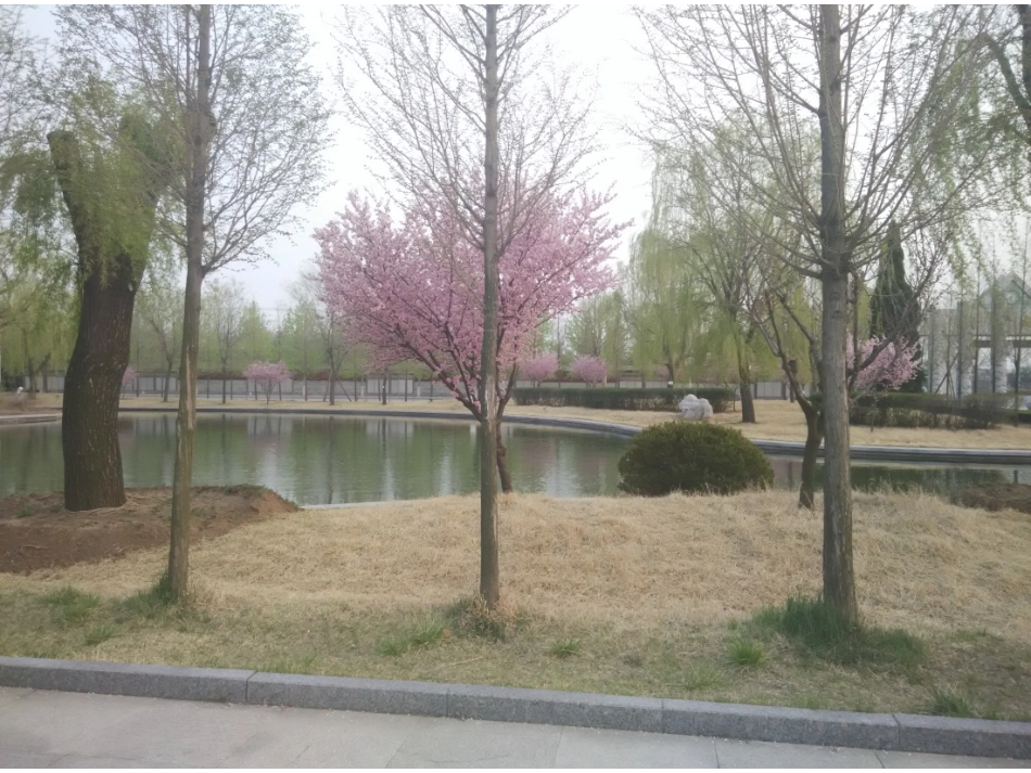诸城之行课件_第3页